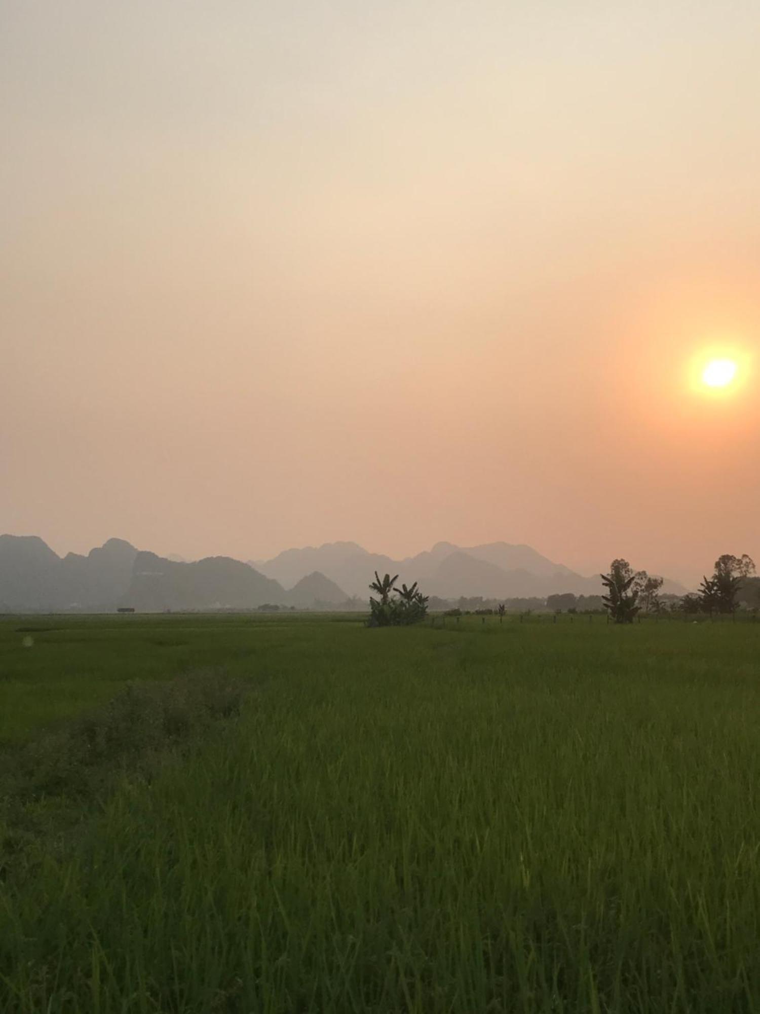 Happy Field Homestay Phong Nha Extérieur photo